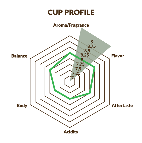 Danesi Single Origin Rwanda Whole Beans (250g)